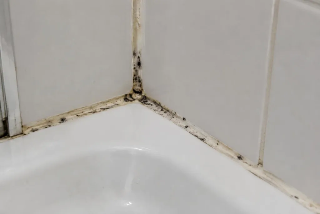 Kitbedrijf Vierhouten – beschimmelde kitranden